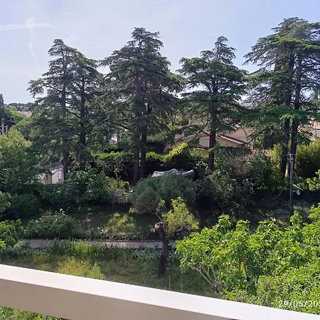 Beautiful Close To The Toulon